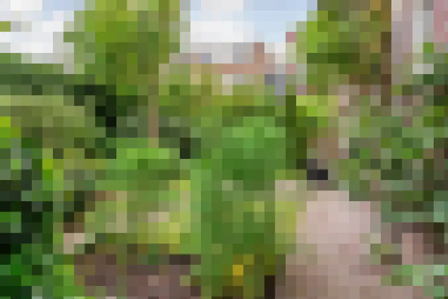 Othellodreef 97 Utrecht thumbnail 29