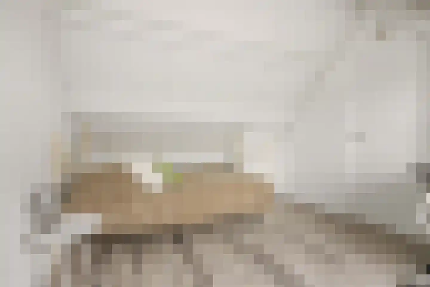 Othellolaan 12 Nieuwegein thumbnail 17