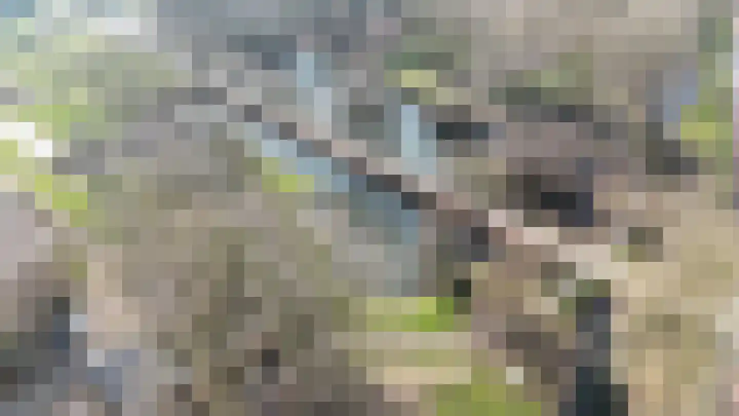 Othellolaan 12 Nieuwegein thumbnail 29