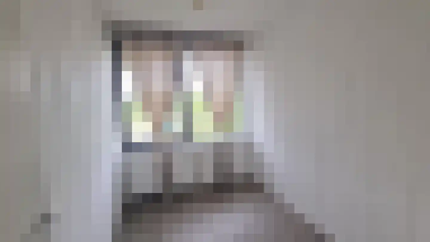 Othon Frieszpad 54 Rotterdam thumbnail 19