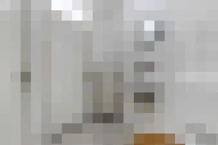 Otis Reddingplein 107 Arnhem thumbnail 17