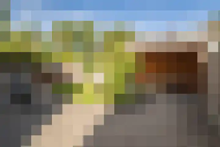 Otmanlanden 18 Enschede thumbnail 27