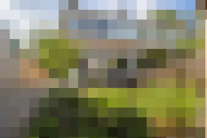 Otmanlanden 18 Enschede thumbnail 31