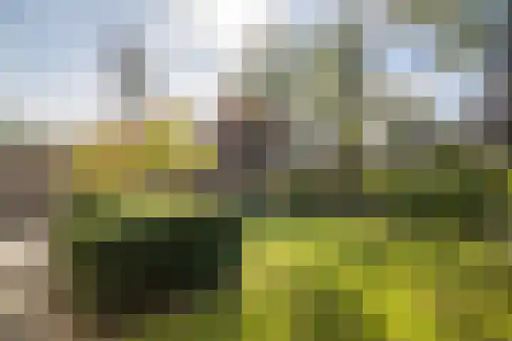 Otmanlanden 18 Enschede thumbnail 35