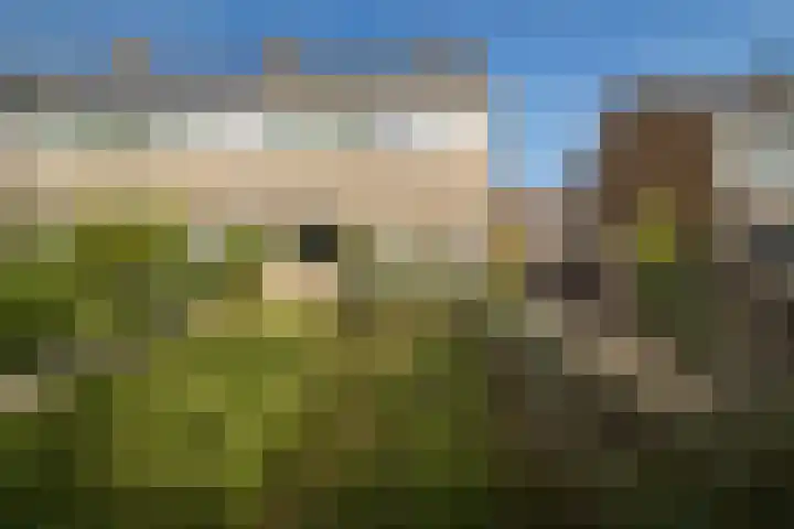 Otmanlanden 18 Enschede thumbnail 5