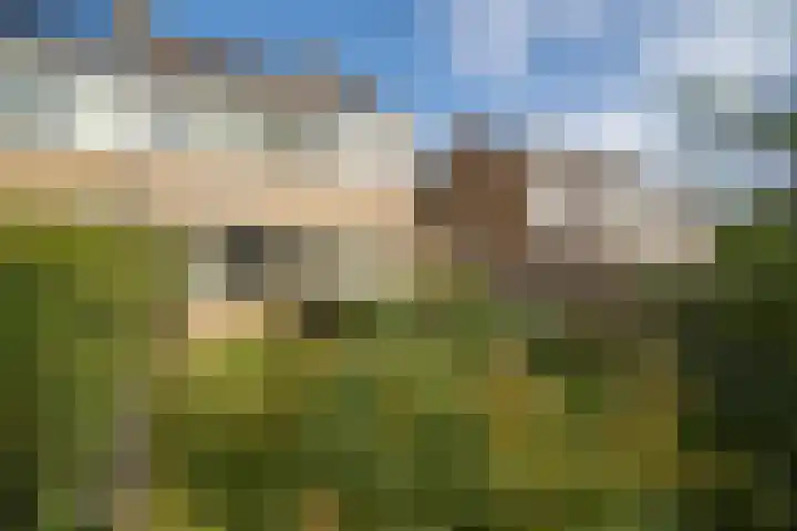 Otmanlanden 18 Enschede thumbnail 6