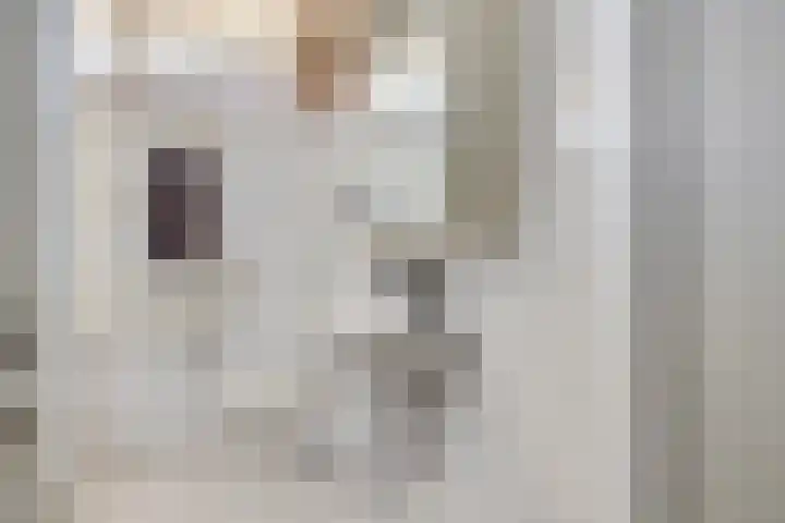 Otselaan 34 Werkhoven thumbnail 25