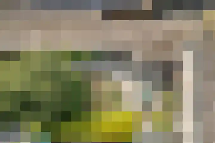 Otselaan 34 Werkhoven thumbnail 37