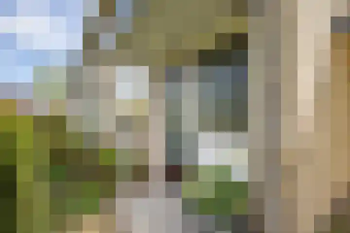 Otselaan 34 Werkhoven thumbnail 39