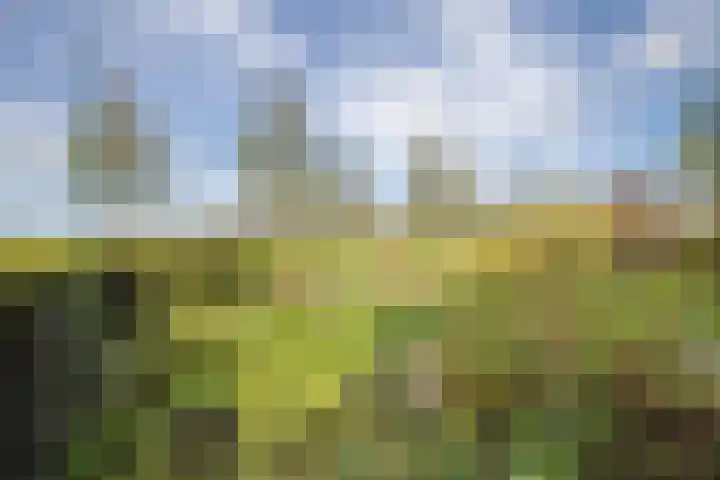 Otselaan 34 Werkhoven thumbnail 40