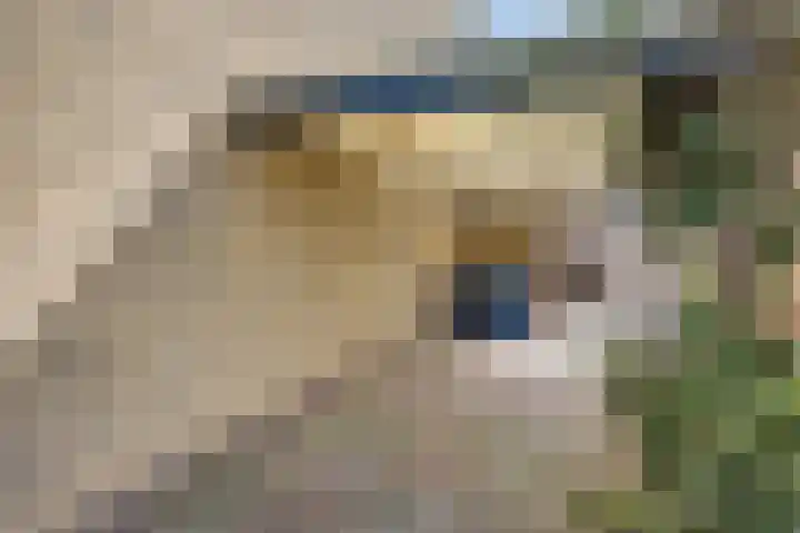 Otselaan 34 Werkhoven thumbnail 42
