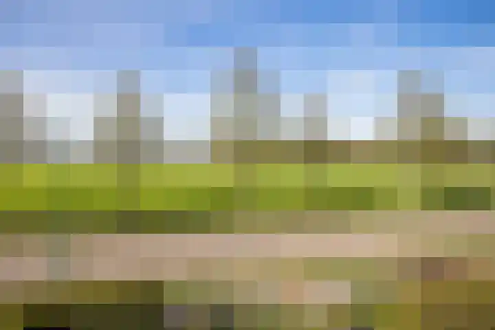 Otselaan 34 Werkhoven thumbnail 44