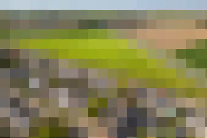 Otselaan 34 Werkhoven thumbnail 46