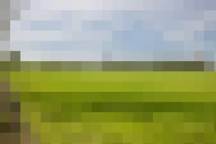 Otselaan 34 Werkhoven thumbnail 48