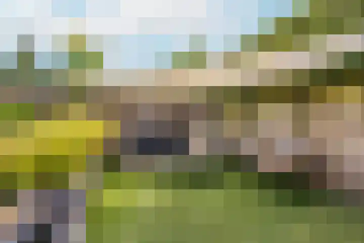 Otselaan 6 Werkhoven thumbnail 14