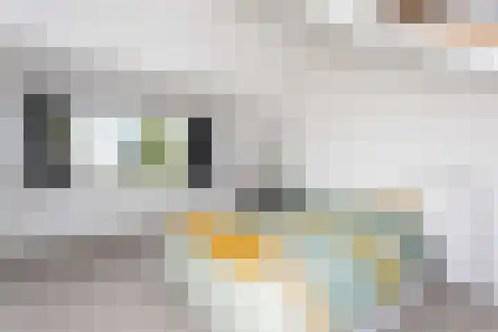 Otselaan 6 Werkhoven thumbnail 27