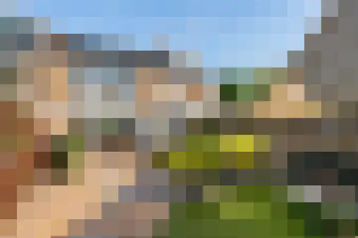 Otselaan 6 Werkhoven foto 3