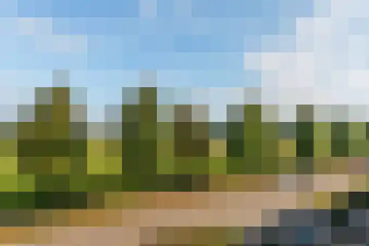 Otselaan 6 Werkhoven thumbnail 31