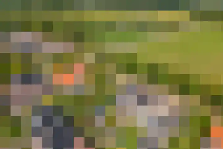 Otselaan 6 Werkhoven thumbnail 34