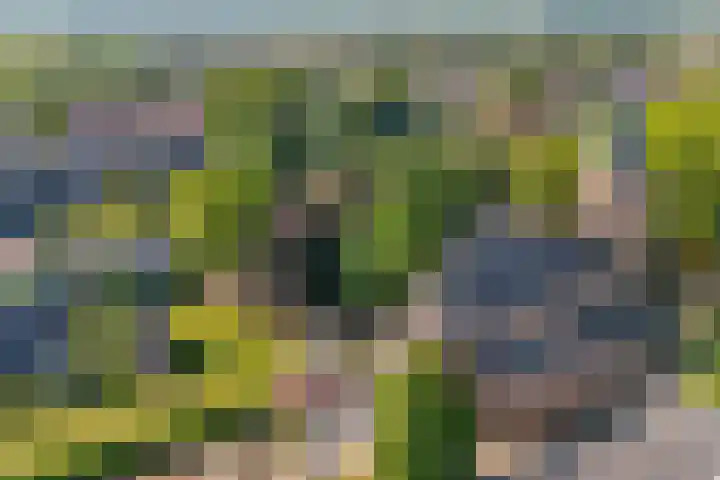 Otselaan 6 Werkhoven thumbnail 35