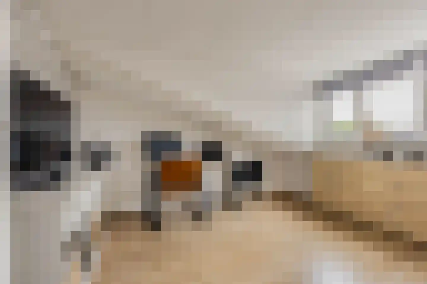 Ottenstein 49 Nieuw-Vennep thumbnail 41