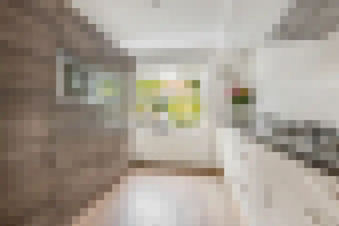 Ottenstein 49 Nieuw-Vennep thumbnail 7