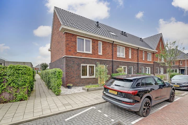 Otter 1 in 's-Gravenzande Foto