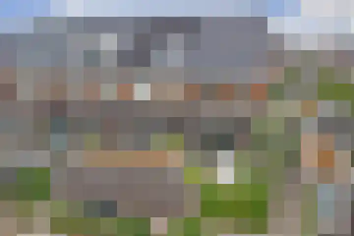 Otter 1 's-Gravenzande thumbnail 30