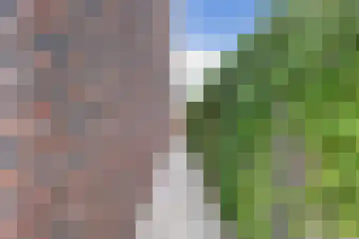 Otter 1 's-Gravenzande thumbnail 31