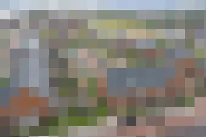 Otter 1 's-Gravenzande thumbnail 33