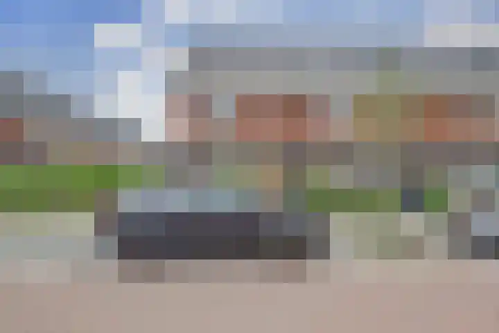 Otter 1 's-Gravenzande thumbnail 34