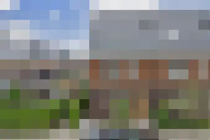 Otter 1 's-Gravenzande thumbnail 36