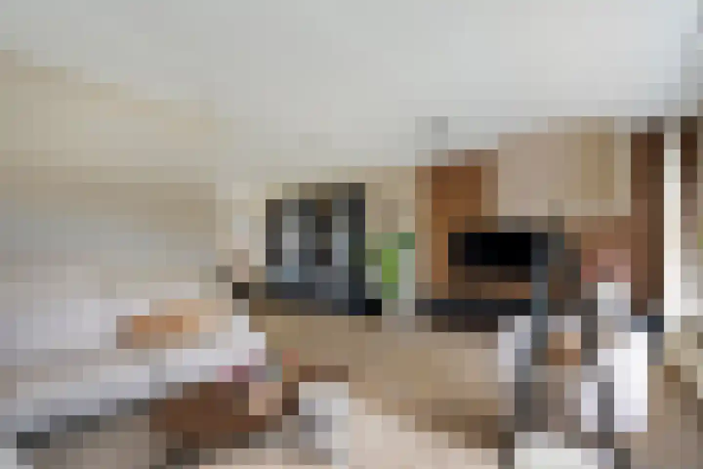 Otterbeek 1 Zwartsluis thumbnail 22