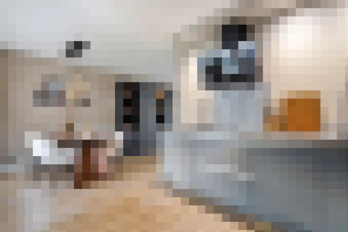 Otterbeek 1 Zwartsluis thumbnail 30