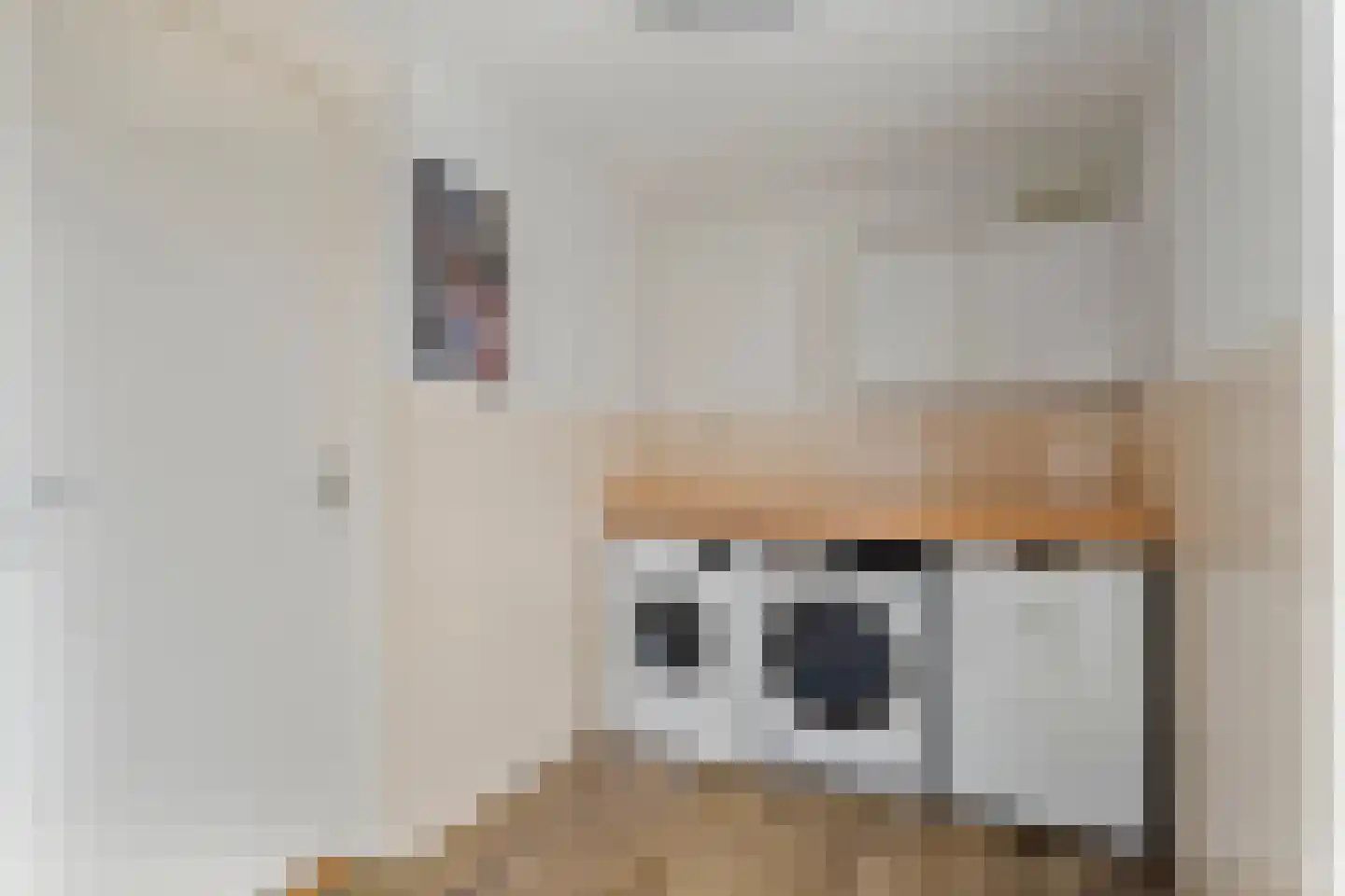 Otterbeek 1 Zwartsluis thumbnail 32
