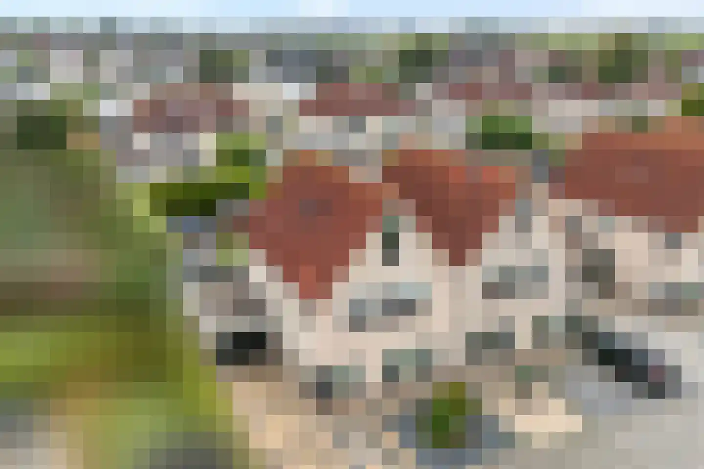 Otterbeek 1 Zwartsluis thumbnail 7