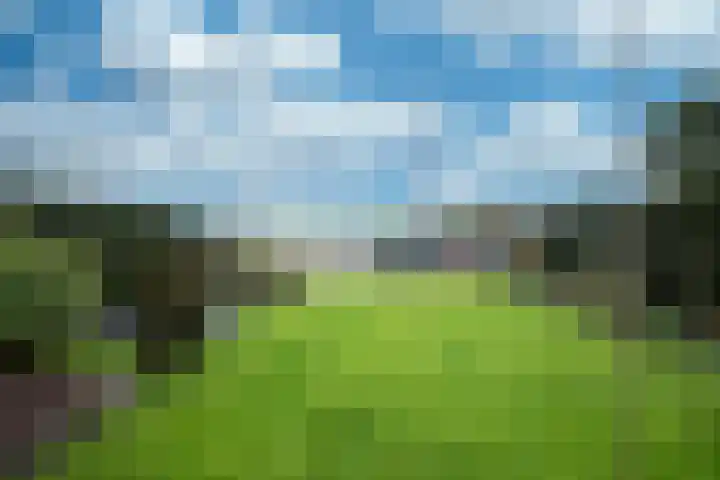 Otterbeek 4 Zwartsluis thumbnail 36