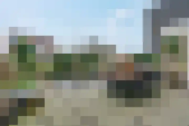 Otterbeek 65 Zwartsluis thumbnail 21