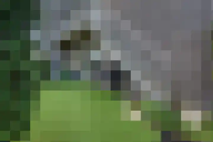 Otterbeek 75 Zwartsluis thumbnail 16