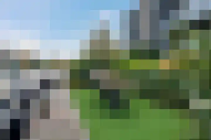 Otterbeek 75 Zwartsluis thumbnail 17