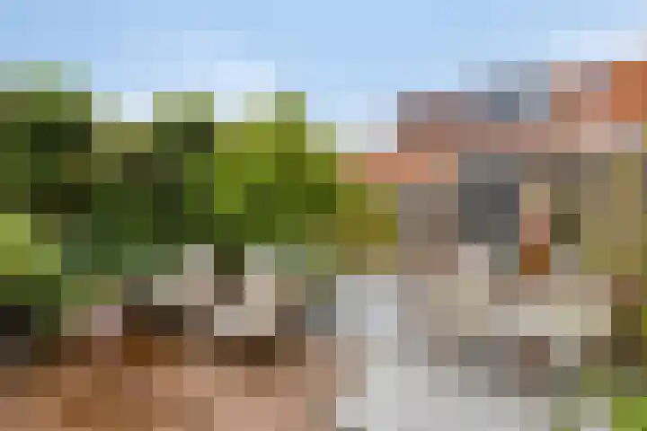 Ottergracht 13 Rotterdam thumbnail 4