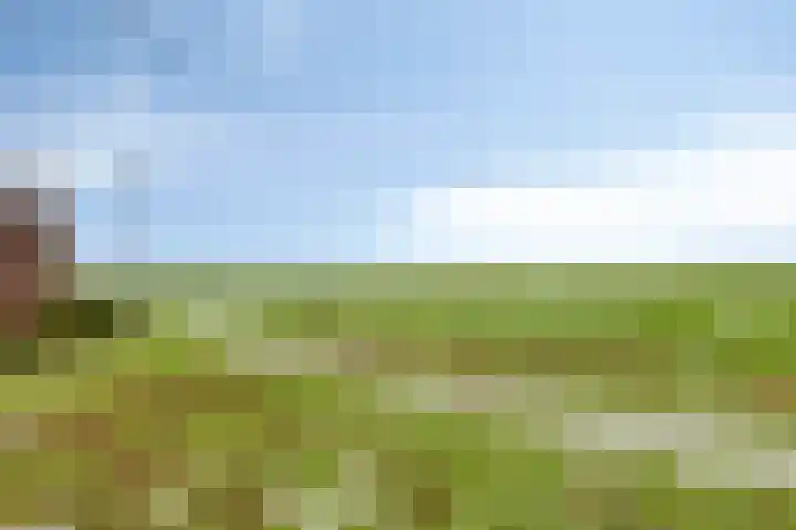 Otterhage 24 Berlicum thumbnail 32
