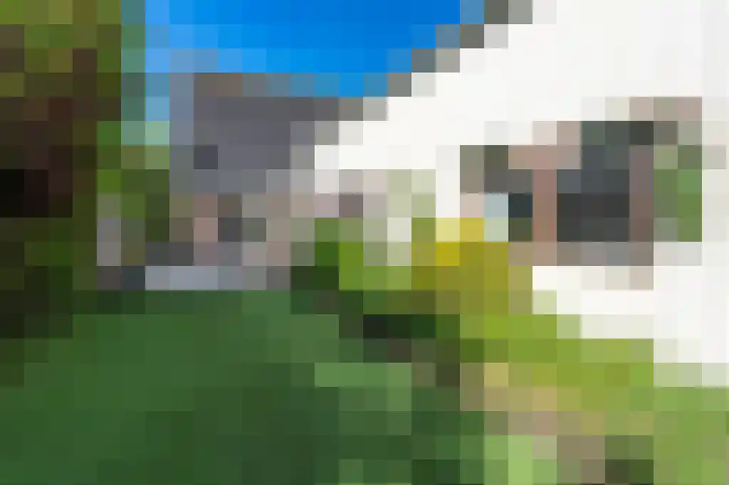 Otterkoog 34 Alkmaar thumbnail 20