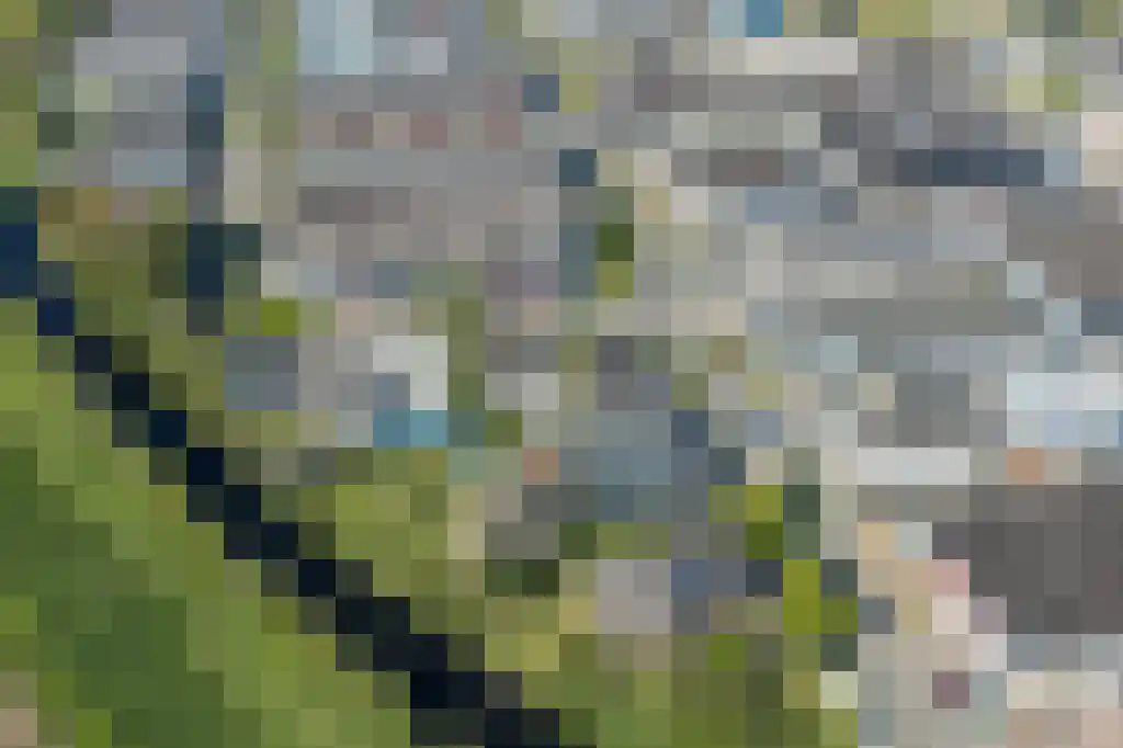 Otterkoog 34 Alkmaar thumbnail 26