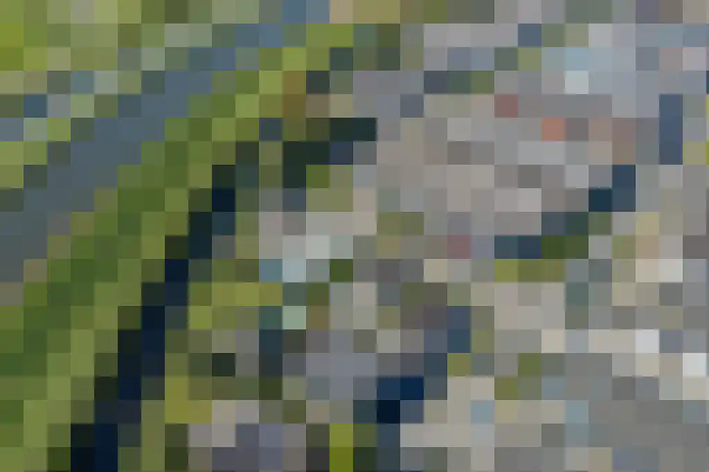 Otterkoog 34 Alkmaar thumbnail 28