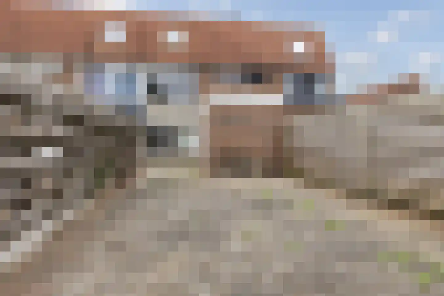 Otterlaan 111 Winschoten thumbnail 16