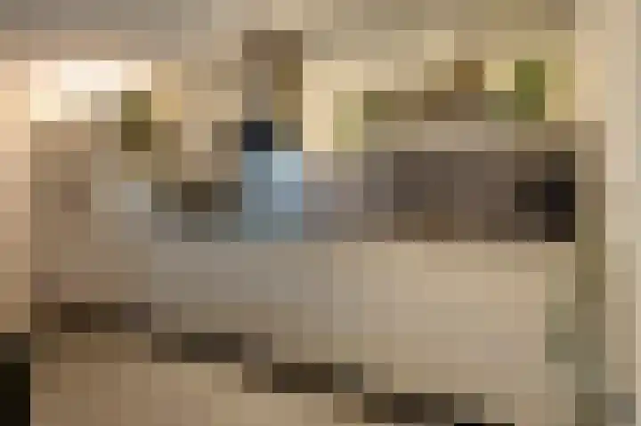 Otterlaan 114 Winschoten thumbnail 8