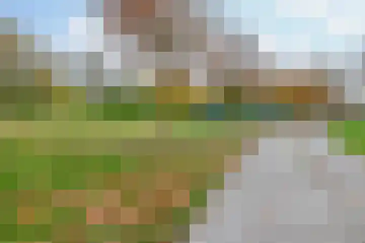 Otterlaan 147 Winschoten thumbnail 38