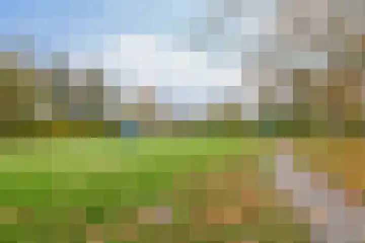 Otterlaan 147 Winschoten thumbnail 39