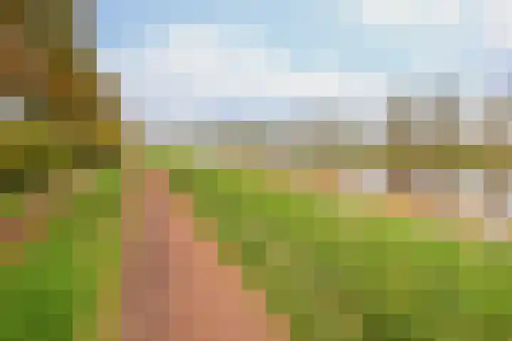 Otterlaan 147 Winschoten thumbnail 4